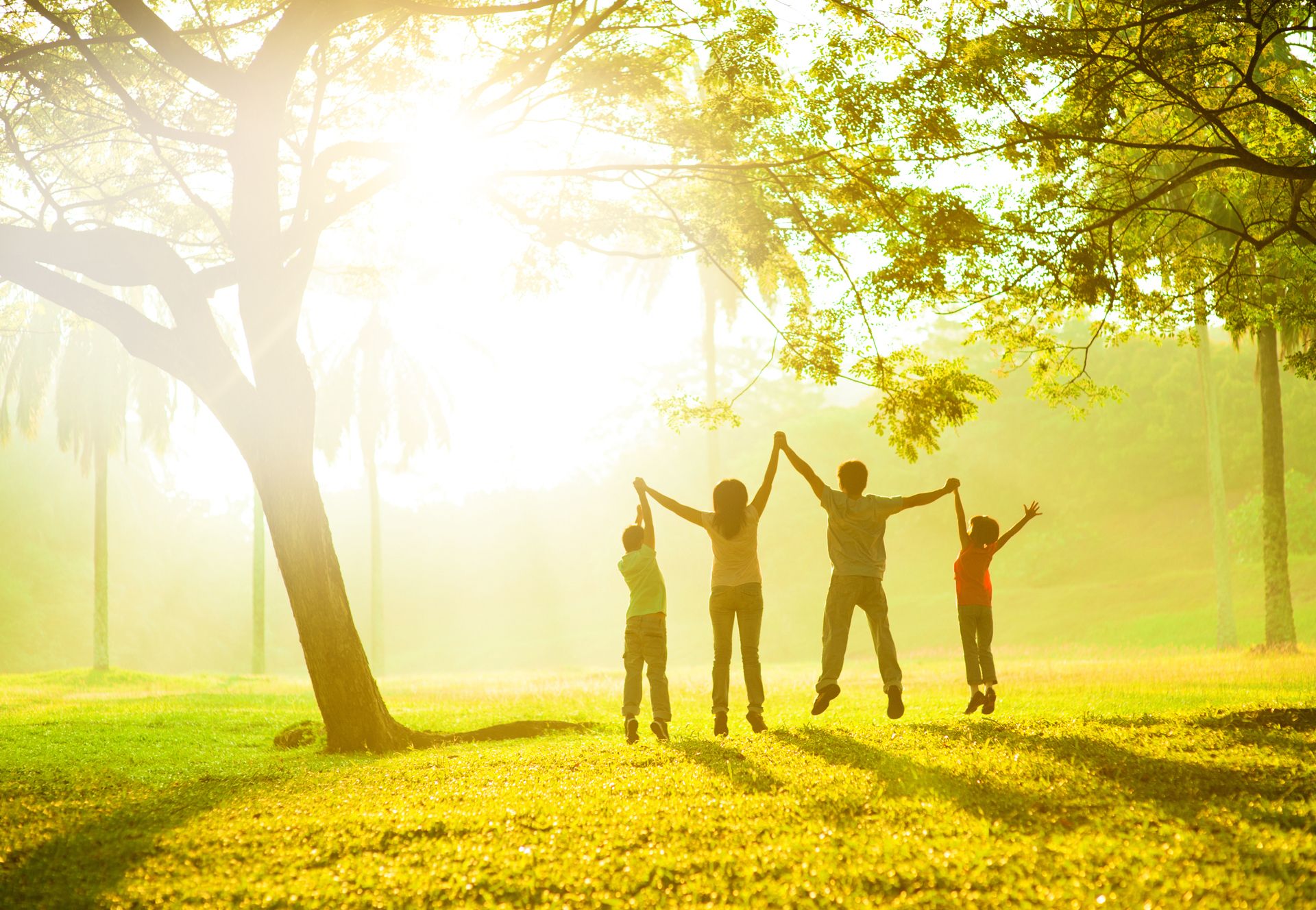 Sunflower Therapies - Happy family