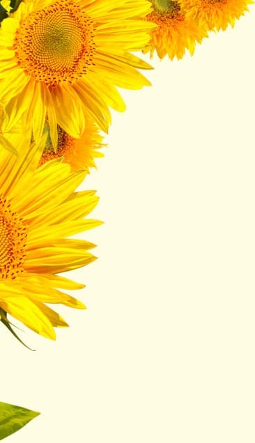 Sunflower decoration