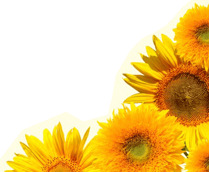 Sunflowers decoration