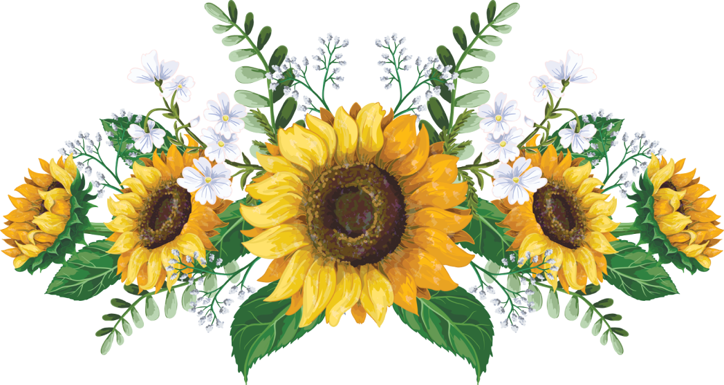 Sunflower Therapies  - Sunflower